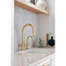 69080-PG Kitchen/Kitchen Sink Accessories/Garbage Disposals & Accessories