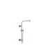 RP101271BN Parts & Maintenance/Bathtub & Shower Parts/Shower Arms