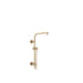 RP101271GL Parts & Maintenance/Bathtub & Shower Parts/Shower Arms