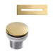 ATOV7H61FIG-PB Bathroom/Bathtubs & Showers/Freestanding Tubs