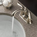 2594-SSMPU-DST Bathroom/Bathroom Sink Faucets/Centerset Sink Faucets