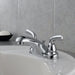 B2510LF-PPU Bathroom/Bathroom Sink Faucets/Centerset Sink Faucets