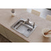 GE12521R1 Kitchen/Kitchen Sinks/Drop in Kitchen Sinks
